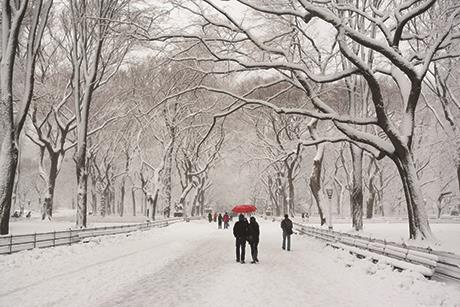 WinterWonderland-CentralParkSnowing for webedit